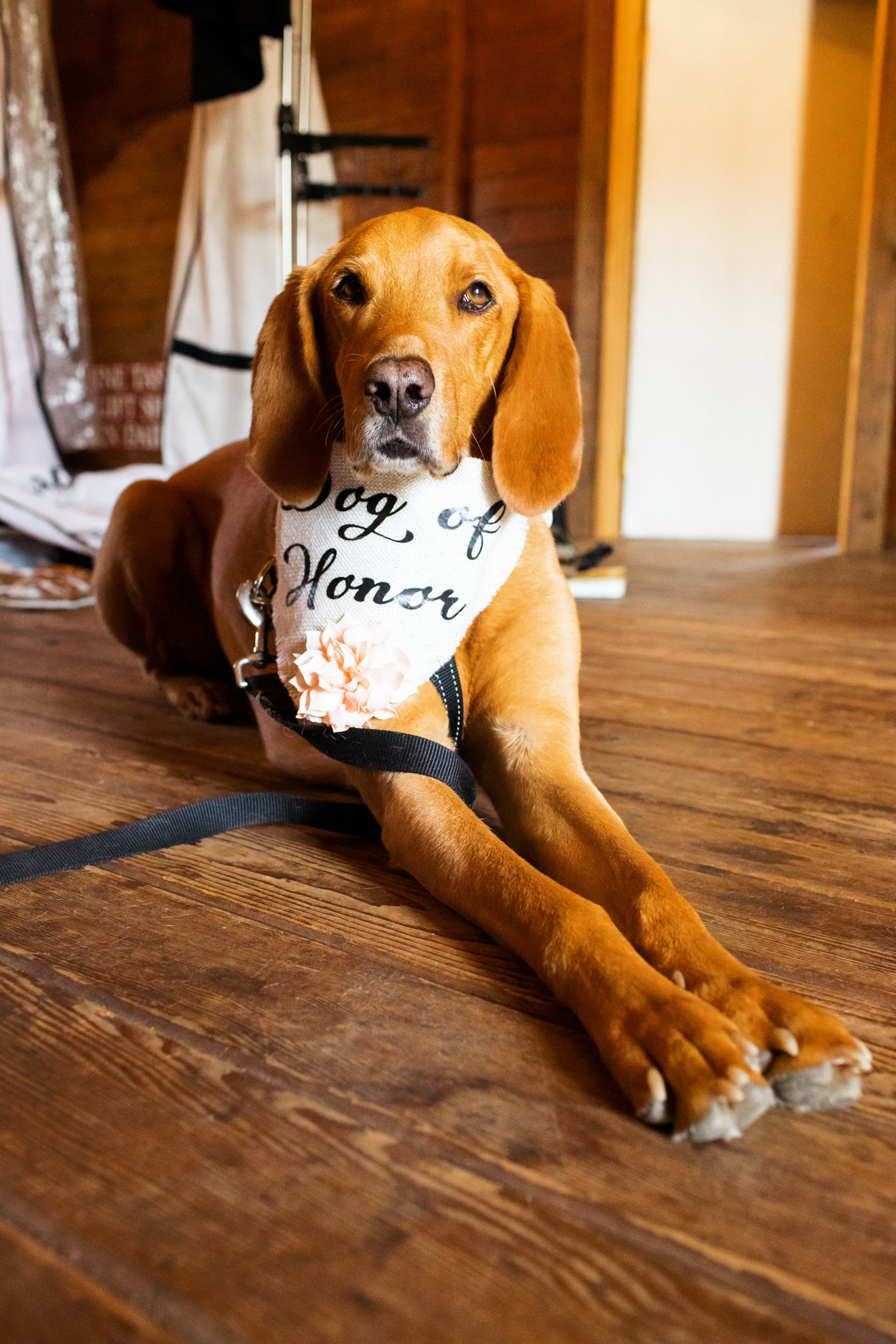 Greenbank Farm Wedding Photos